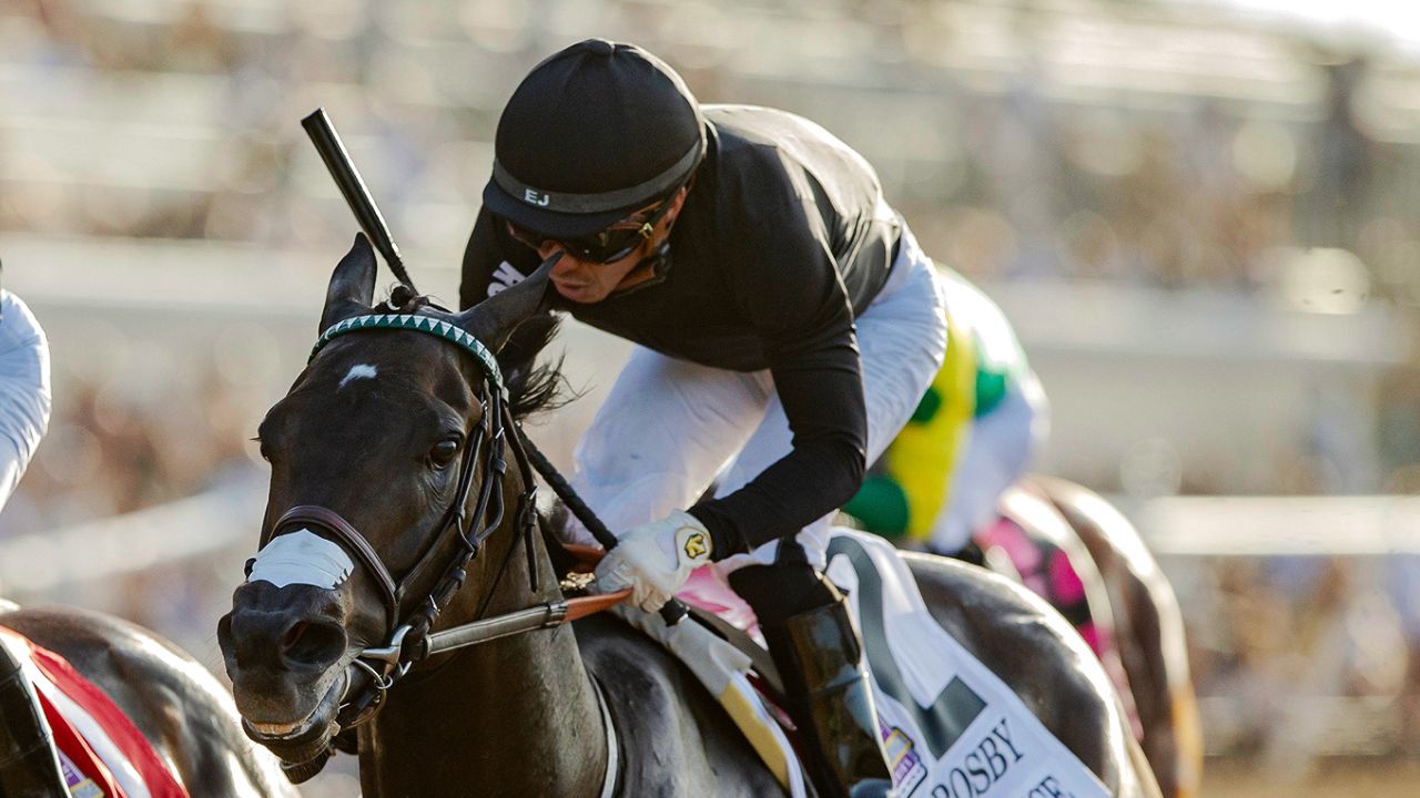 Lil Wayne ventures into horse racing as his horse prepares for $2 ...