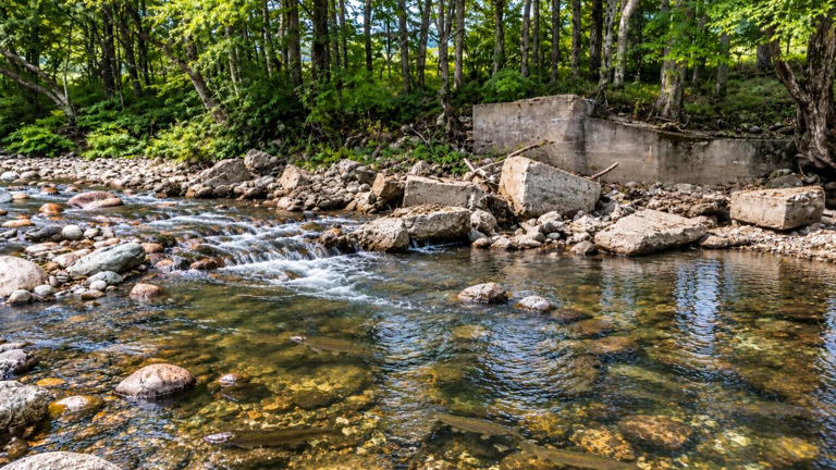 Dam removal restores stream: crews clear Killooleet blockage; 87 miles ...