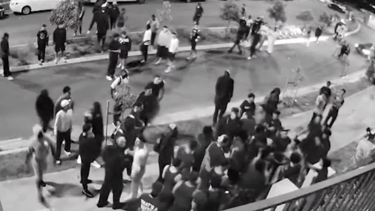 Wild scenes at out-of-control Halloween party