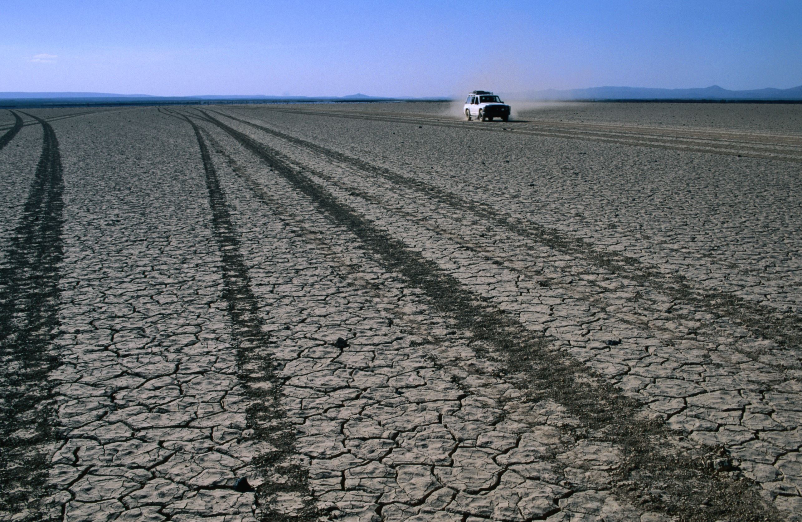 ���� ���� ������ �� ���� ������