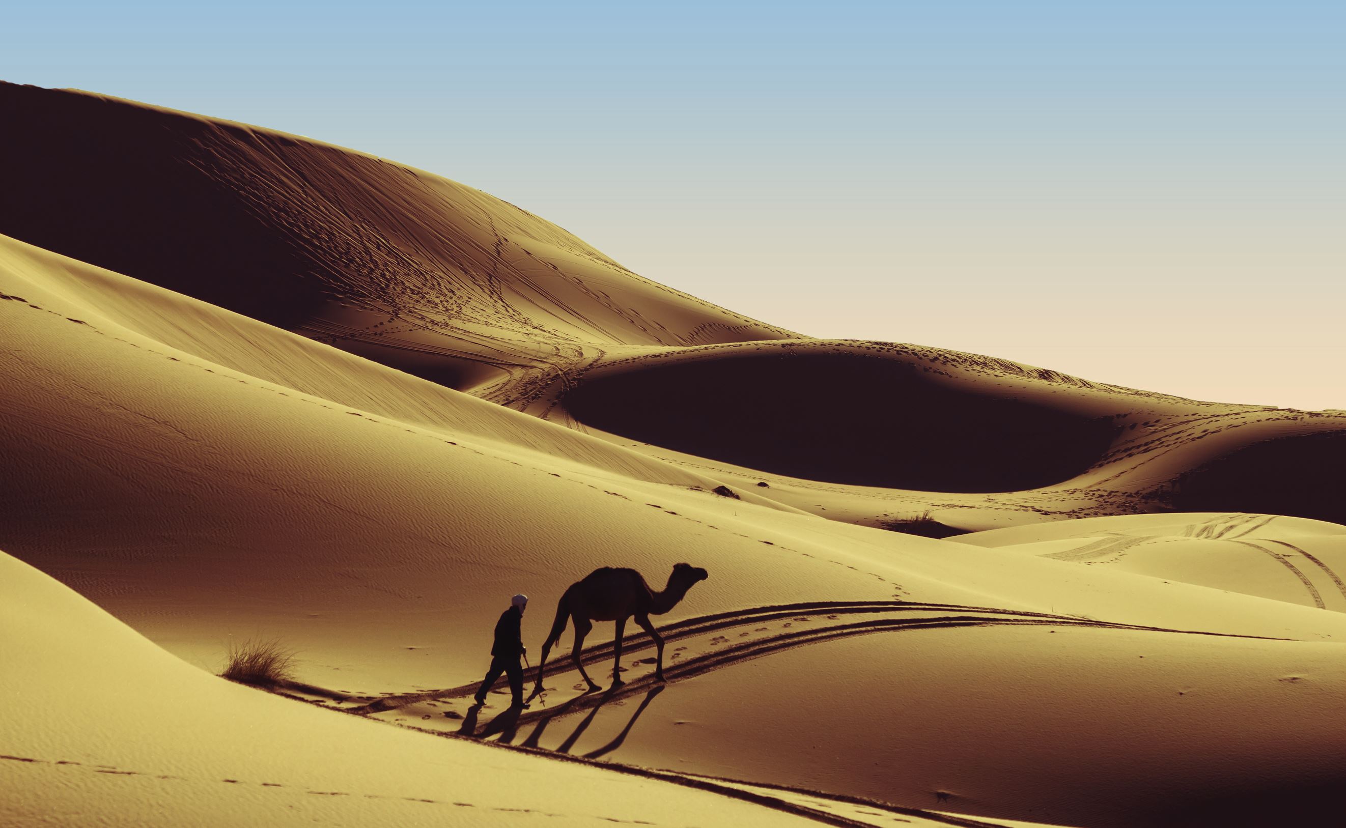 静寂に包まれた神秘的な絶景 世界の砂漠30選