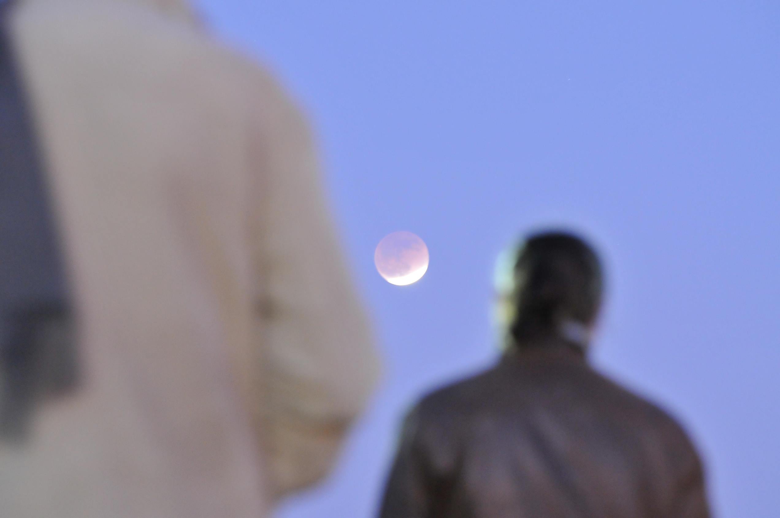 30 Epic Eclipse Photos