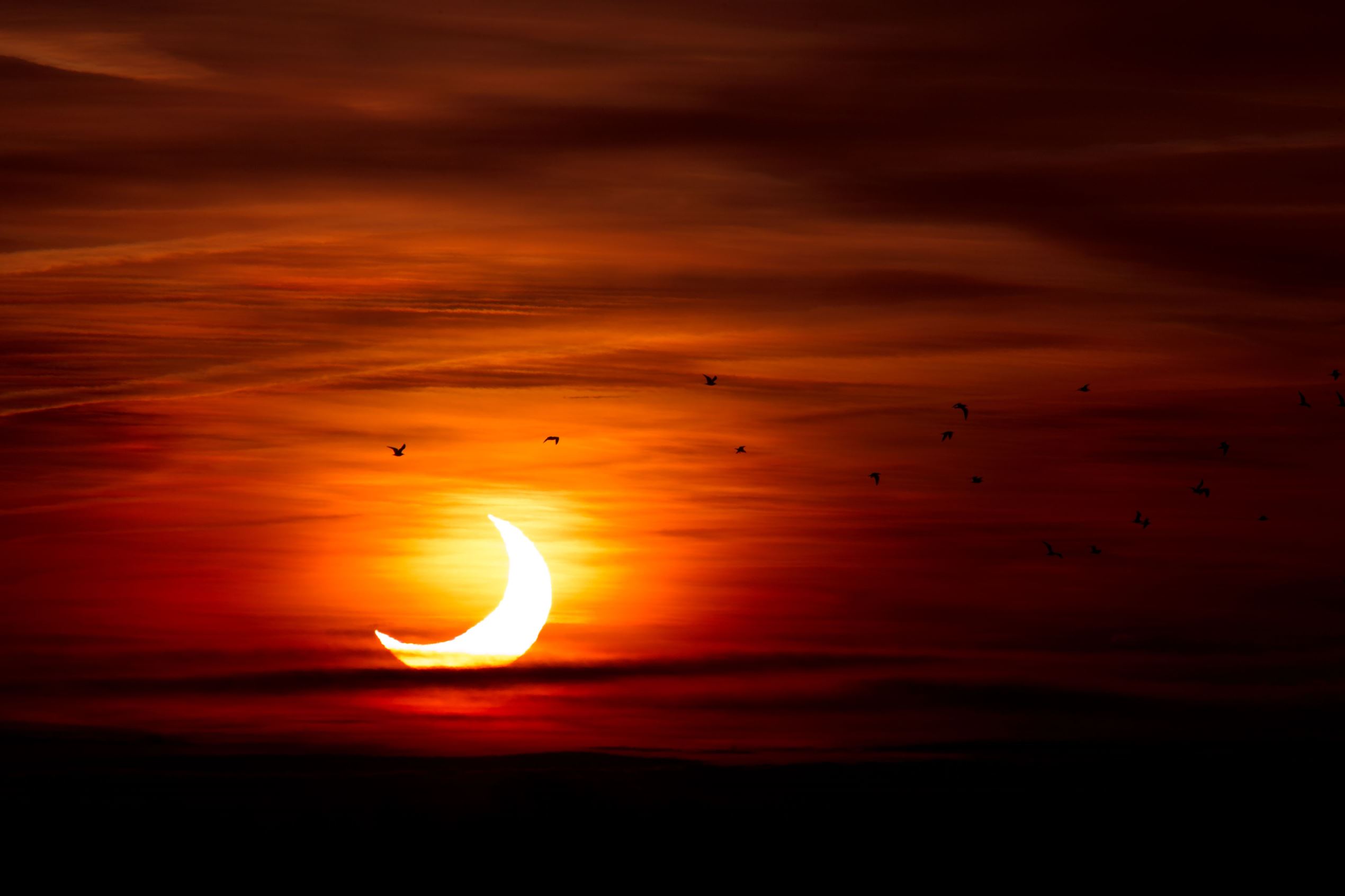 30 epic eclipse photos