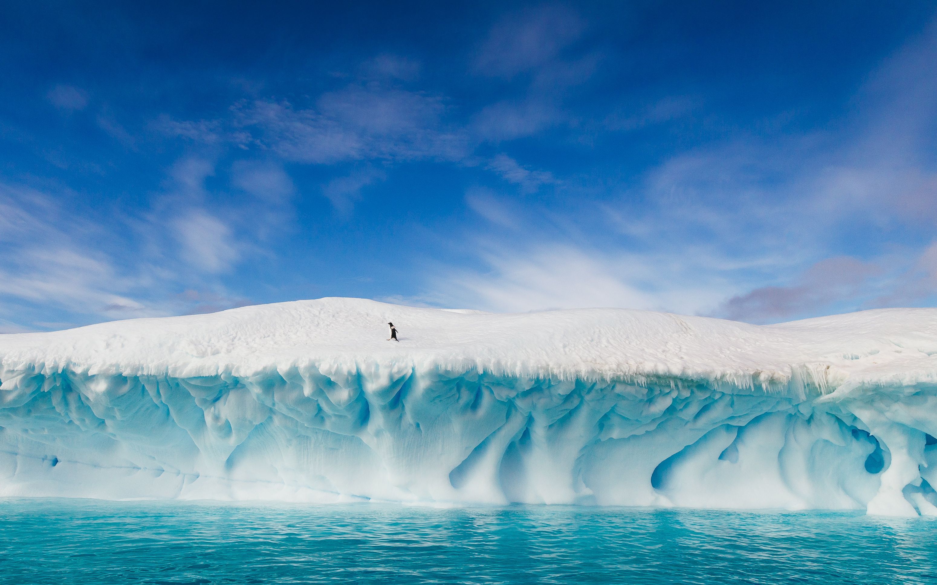 åç 15 /å± 37 å¼µ