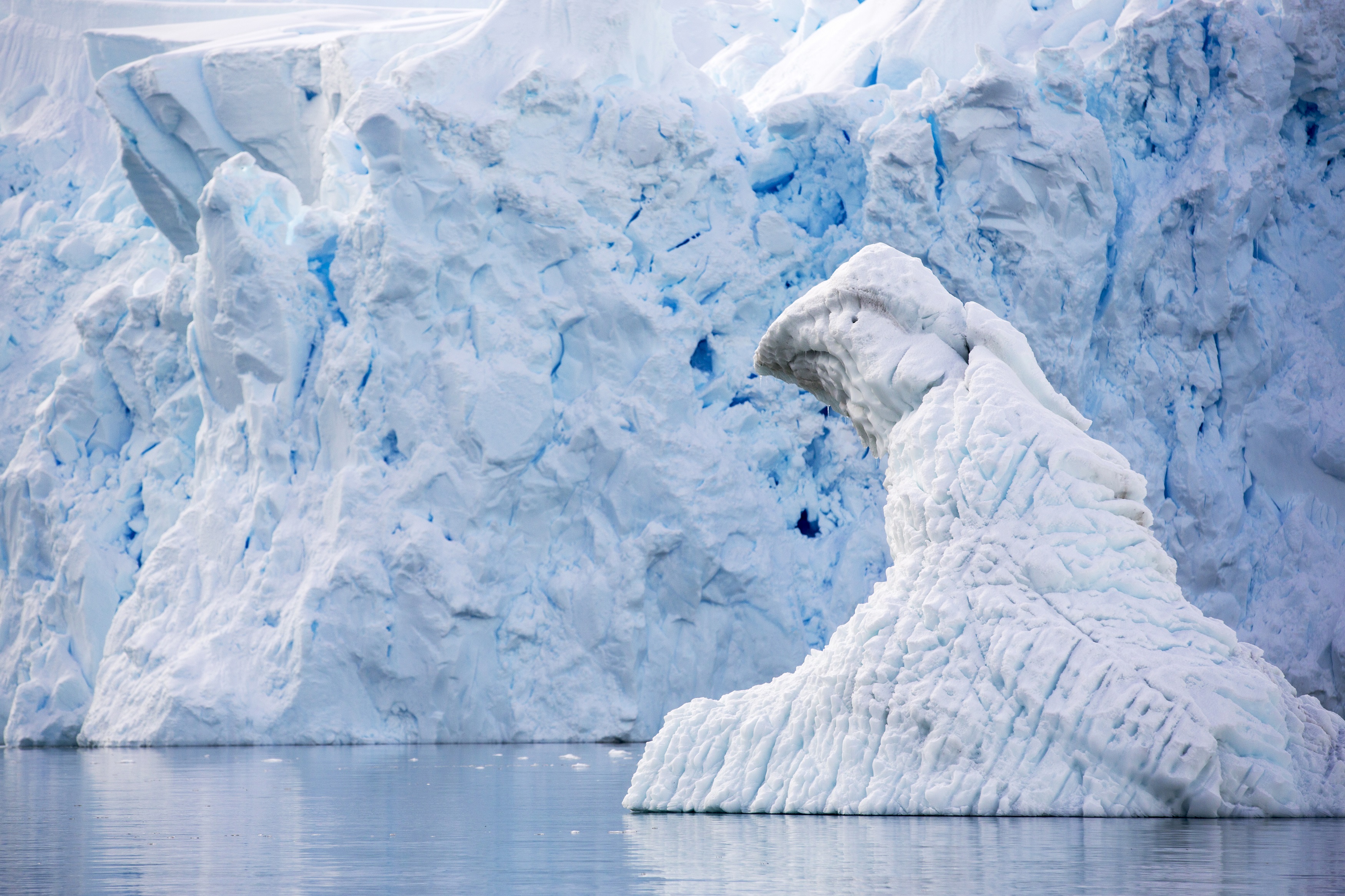 åç 34 /å± 37 å¼µ