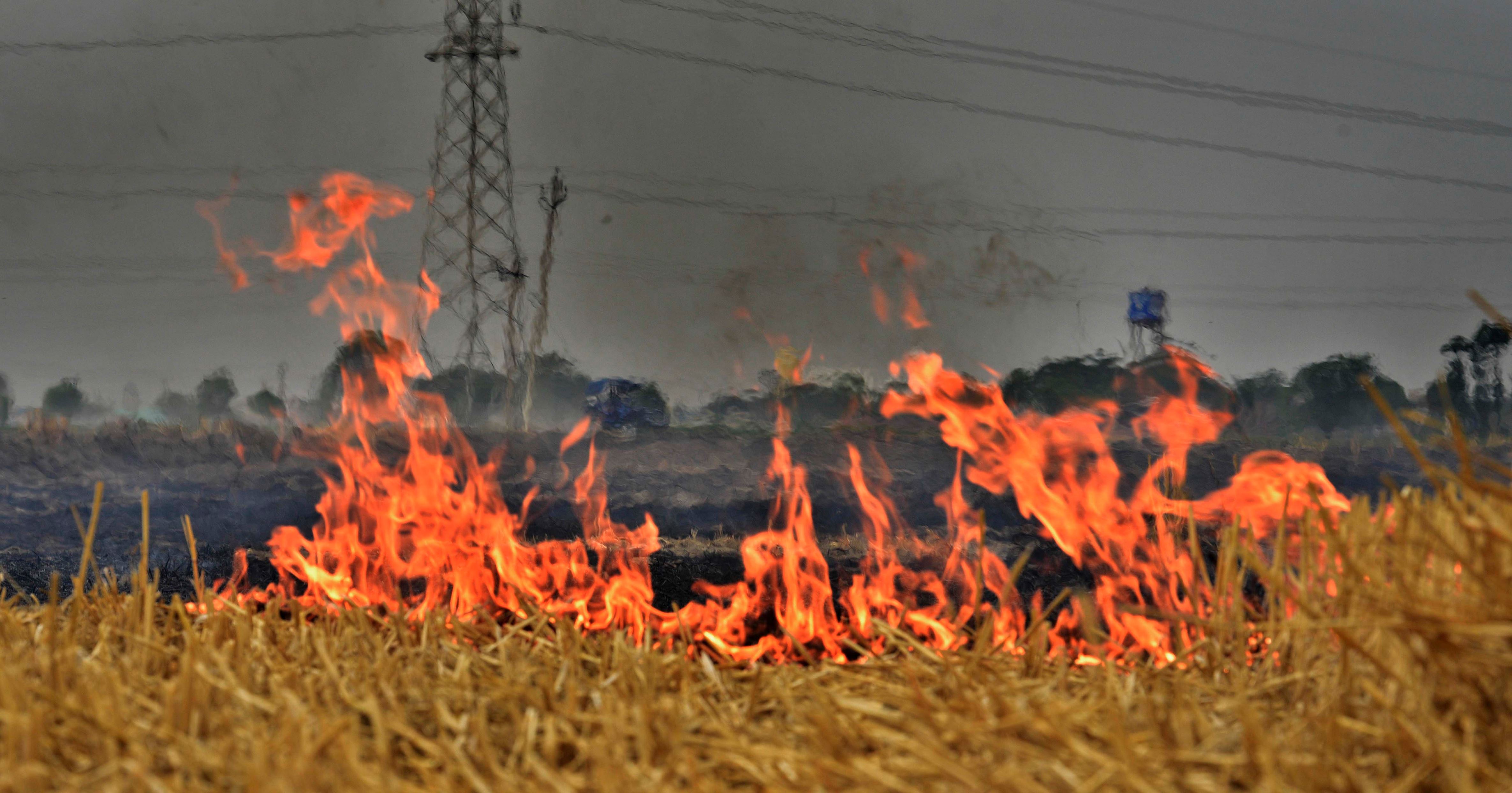 Image result for pollution due to farm burning waste haryana and punjab