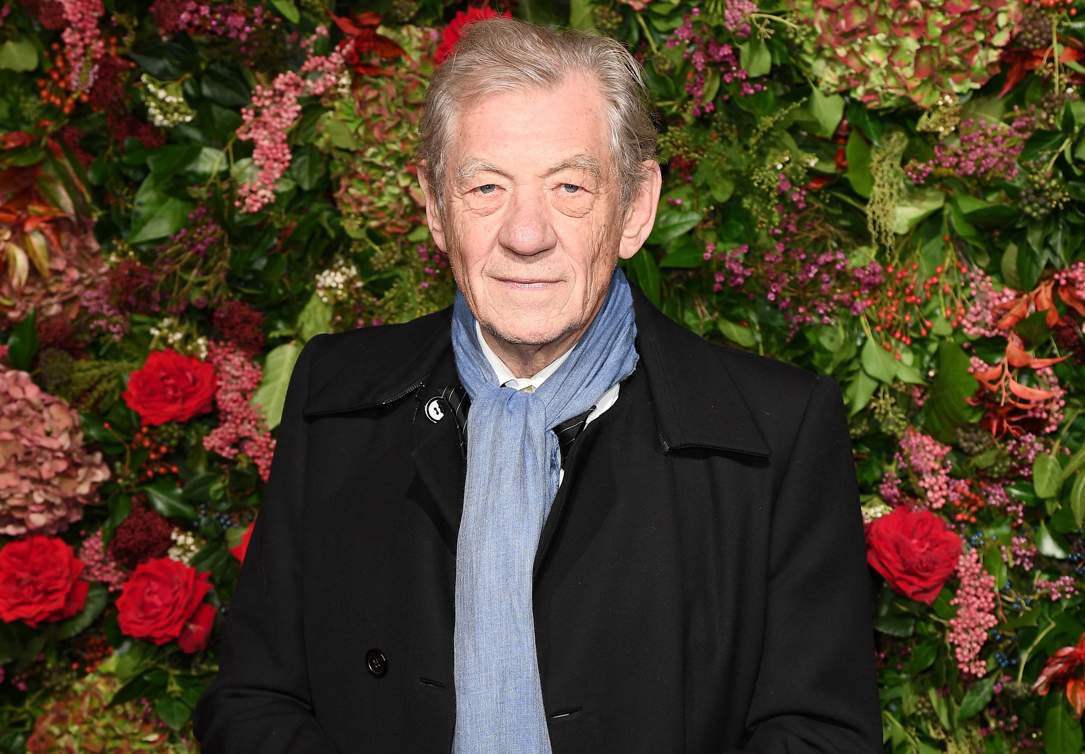 [Obrázek: AABG3tL.img?h=552&w=750&m=6&q=60&u=t&o=f...1731&y=750]