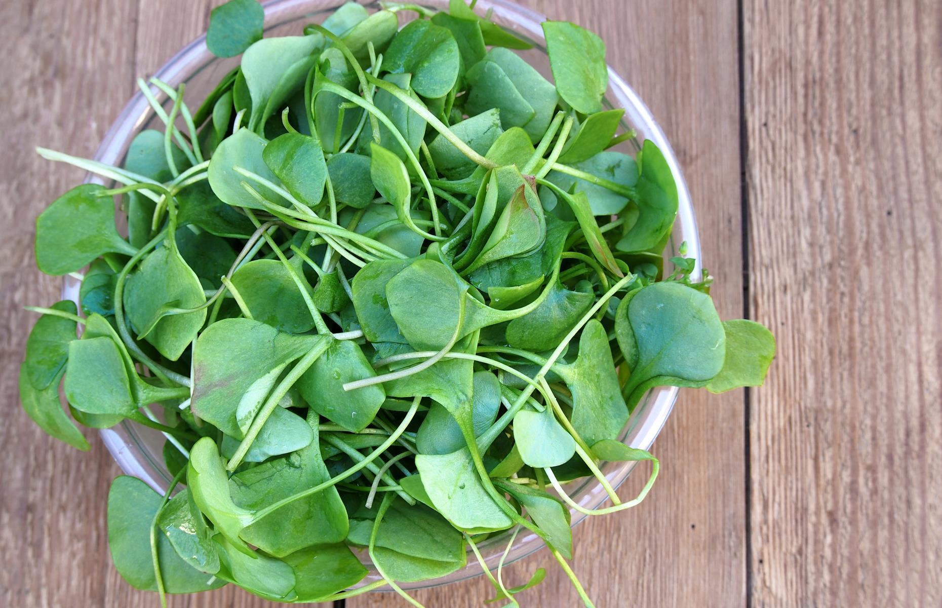 AADlhiN.img?h=582&w=1119&m=6&q=60&u=t&o=