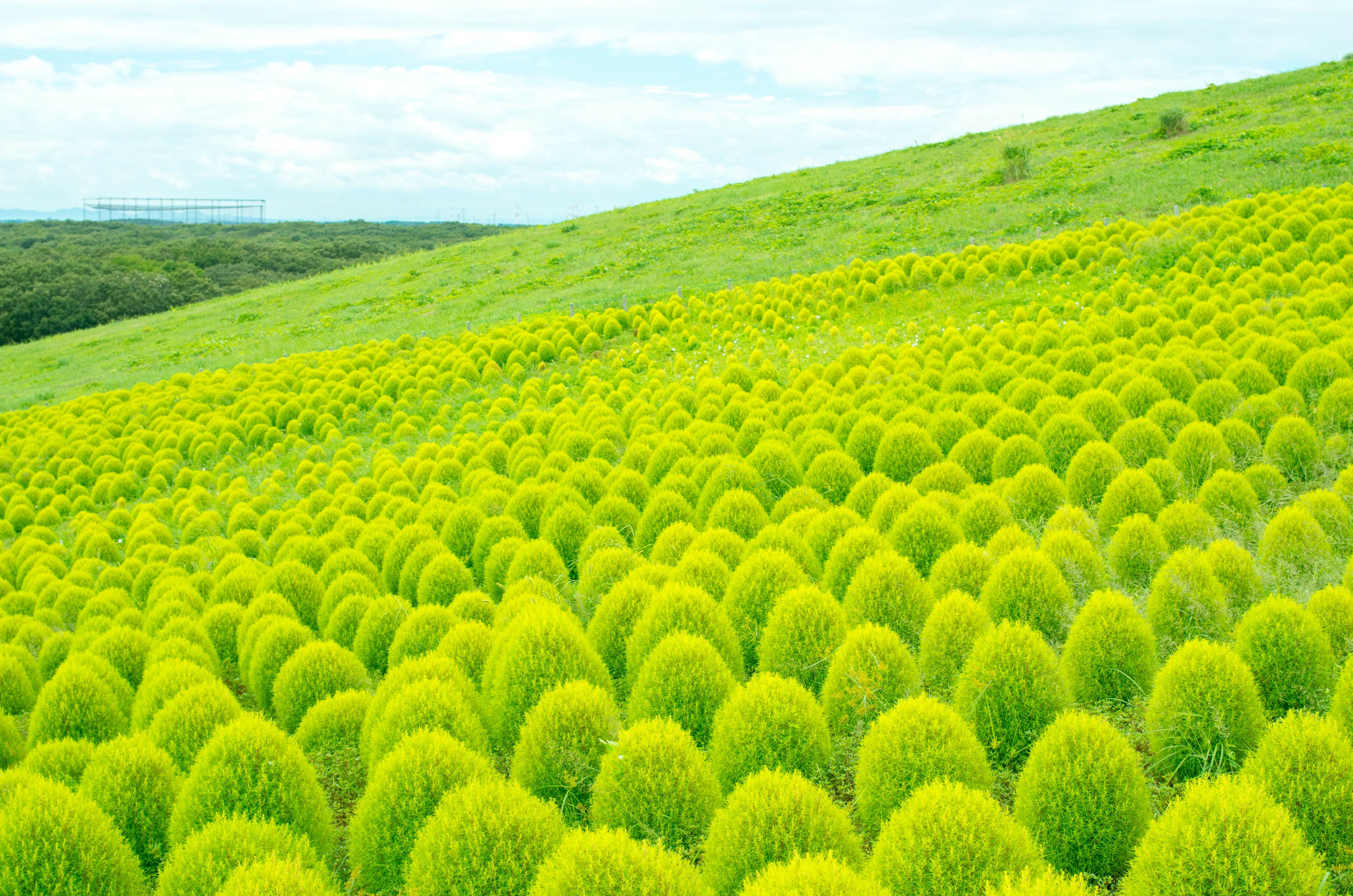 人気急上昇中 定番から穴場まで 日本全国 夏の絶景スポット