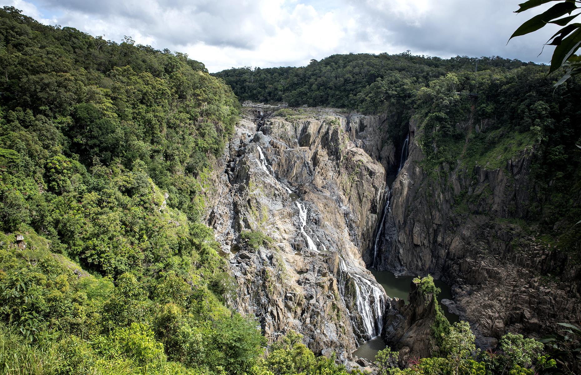 A one-way ticket costs $35 (£28) for adults and $18 (£14) for children. Many opt to take the railway to Kuranda and get the Skyrail Rainforest Cableway back, to experience the World Heritage-listed Wet Tropics of Queensland from a different angle.