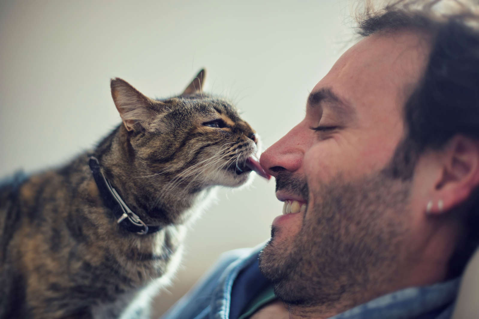 Men Who Love Cats