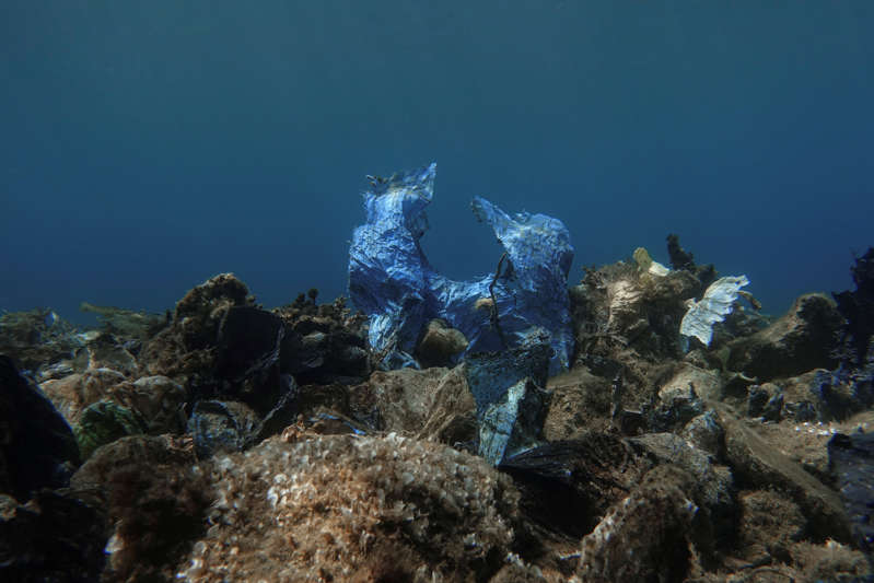2019年7月20日，在希腊安德罗斯岛附近的海底可以看到一个塑料袋。