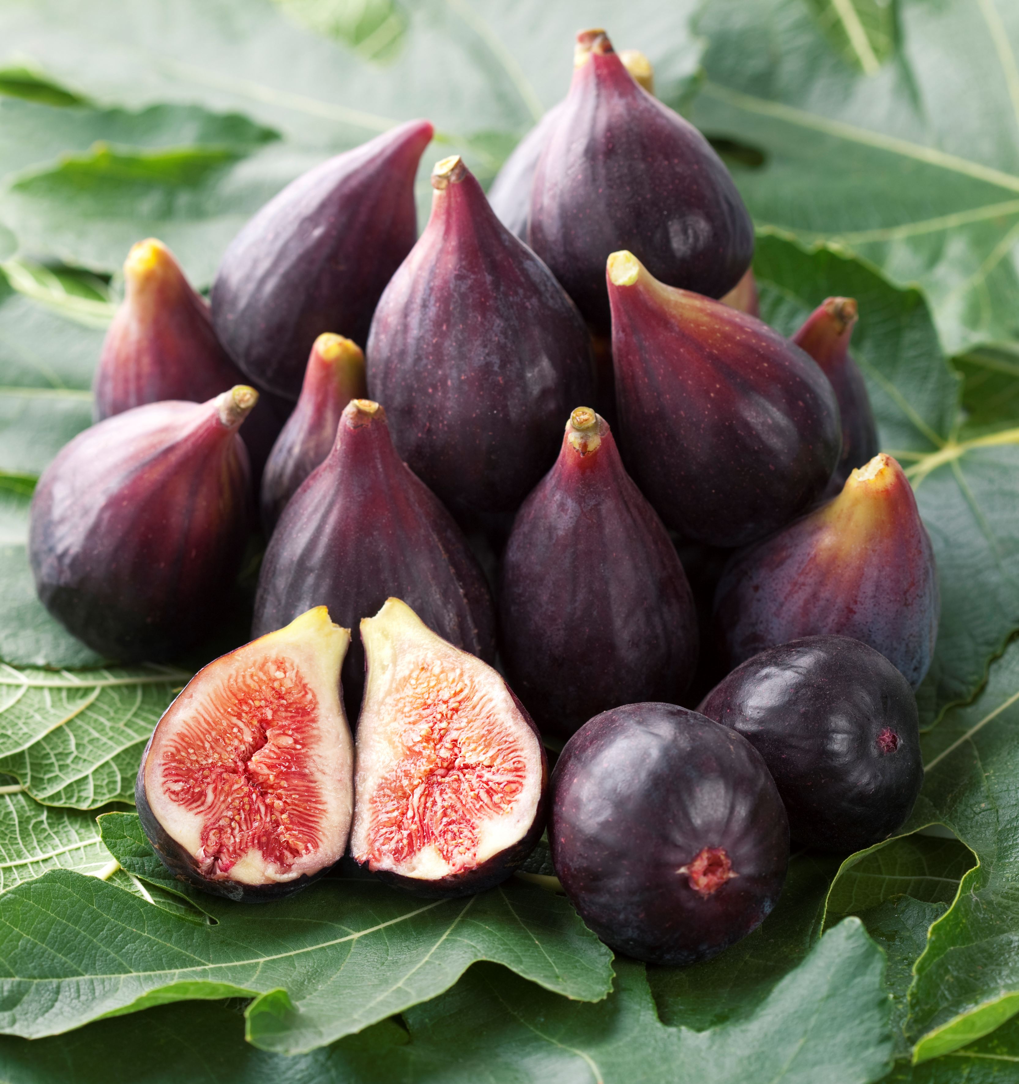 4 Asombrosos Beneficios De Tomar Te De Hojas De Higo