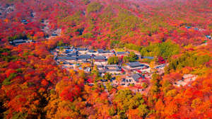 25 Asian destinations to visit in autumn 25 Asian destinations to visit in autumn
