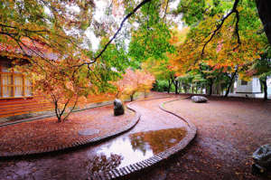 25 Asian destinations to visit in autumn 25 Asian destinations to visit in autumn