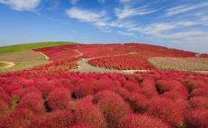 25 Asian destinations to visit in autumn 25 Asian destinations to visit in autumn