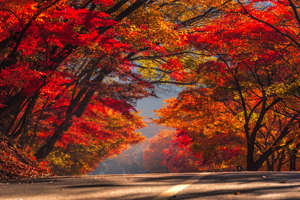 25 Asian destinations to visit in autumn 25 Asian destinations to visit in autumn