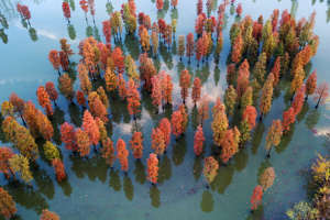 25 Asian destinations to visit in autumn 25 Asian destinations to visit in autumn