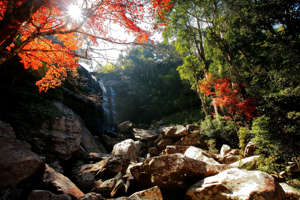 25 Asian destinations to visit in autumn 25 Asian destinations to visit in autumn