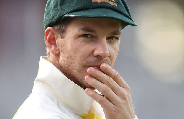 Image result for tim paine