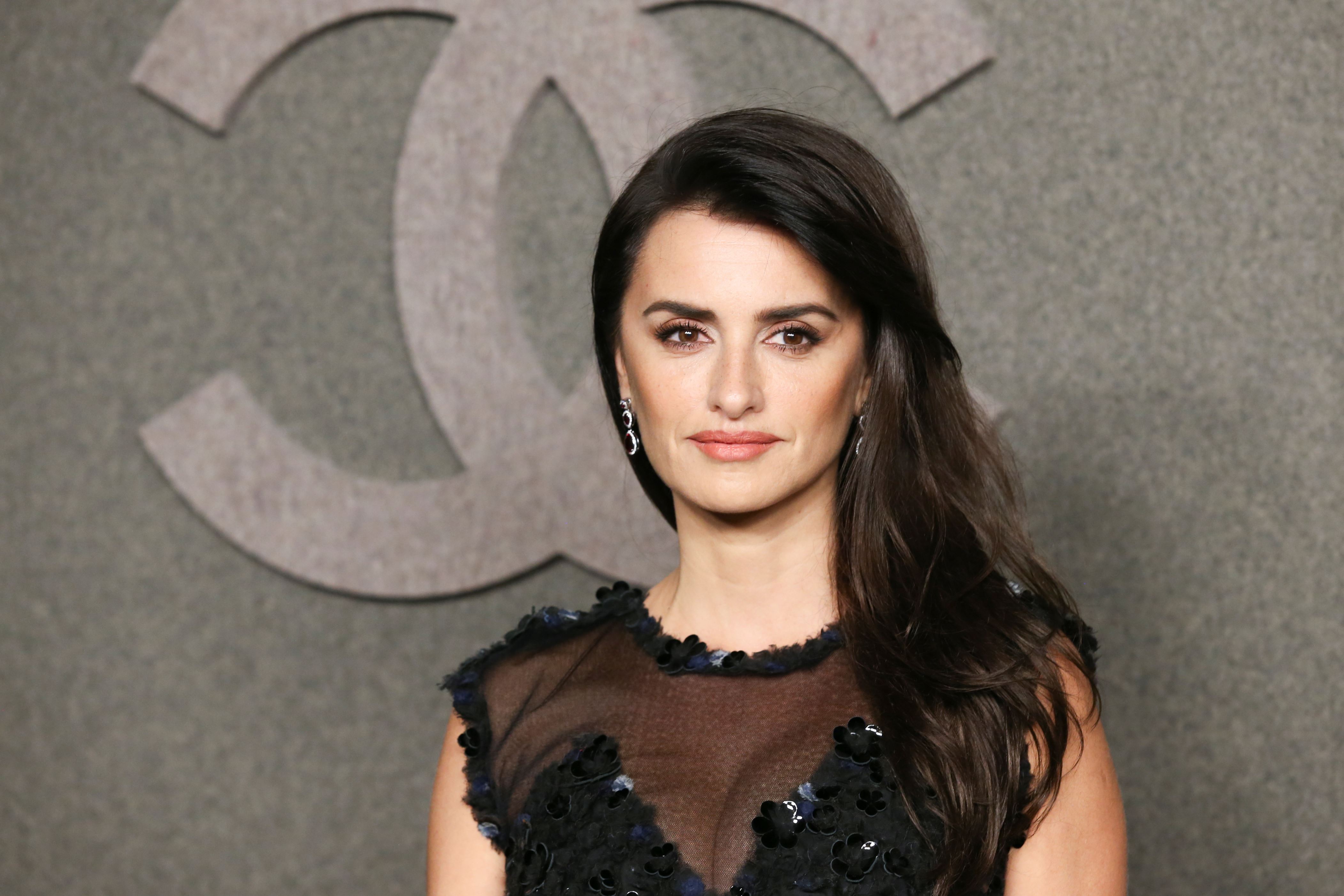 Penelope Cruz Needs Her Work