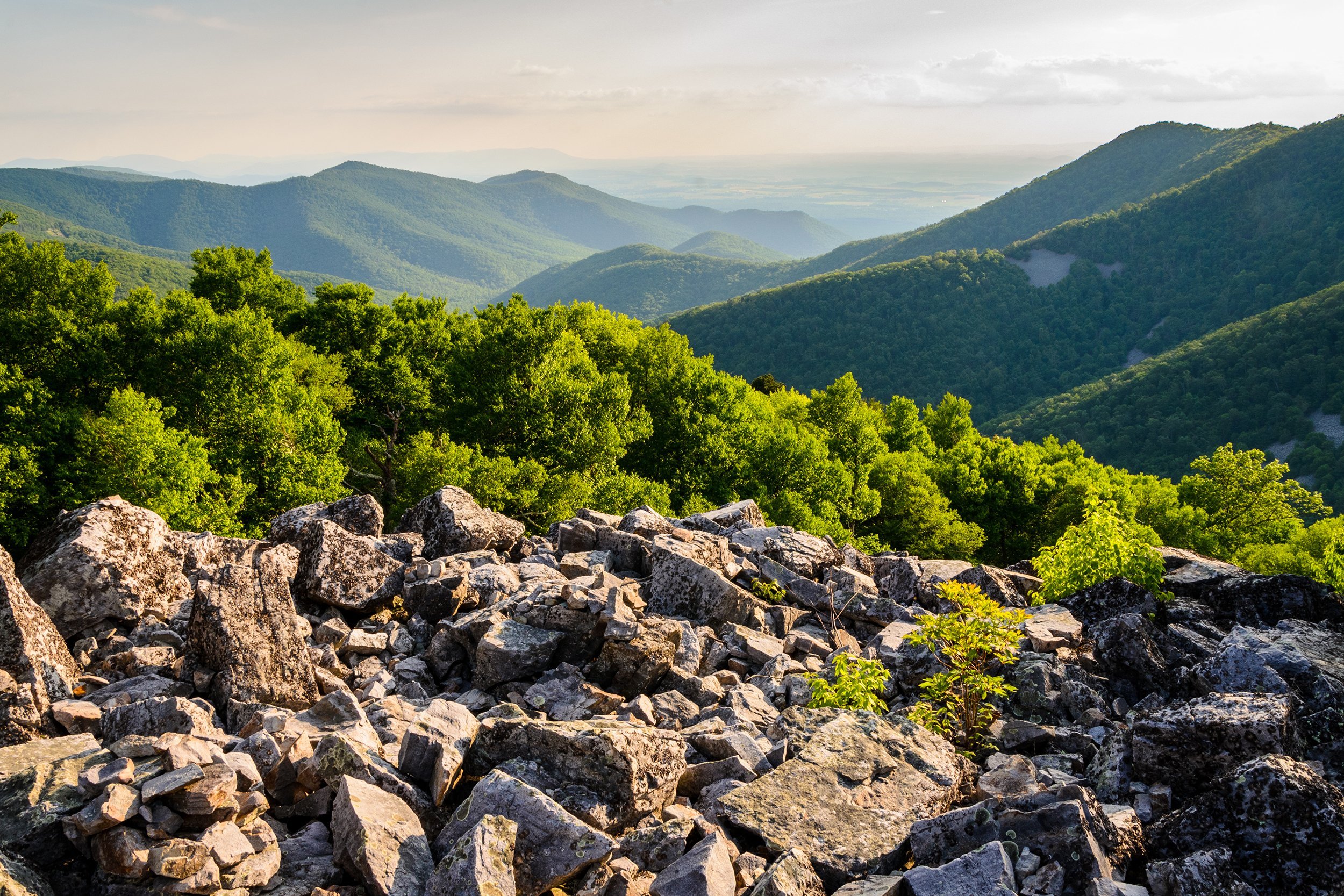<p>Part of the Blue Ridge Mountains, <a href="https://www.nps.gov/shen/index.htm">Shenandoah National Park</a> has nearly 200,000 acres open for backcountry camping, but there's no need to rough it. The park has several lodges and cabins available to rent and four established campgrounds. One of the park's main attractions (and the only public road through the park) is Skyline Drive, a 105-mile stretch with 75 scenic overlooks.</p>