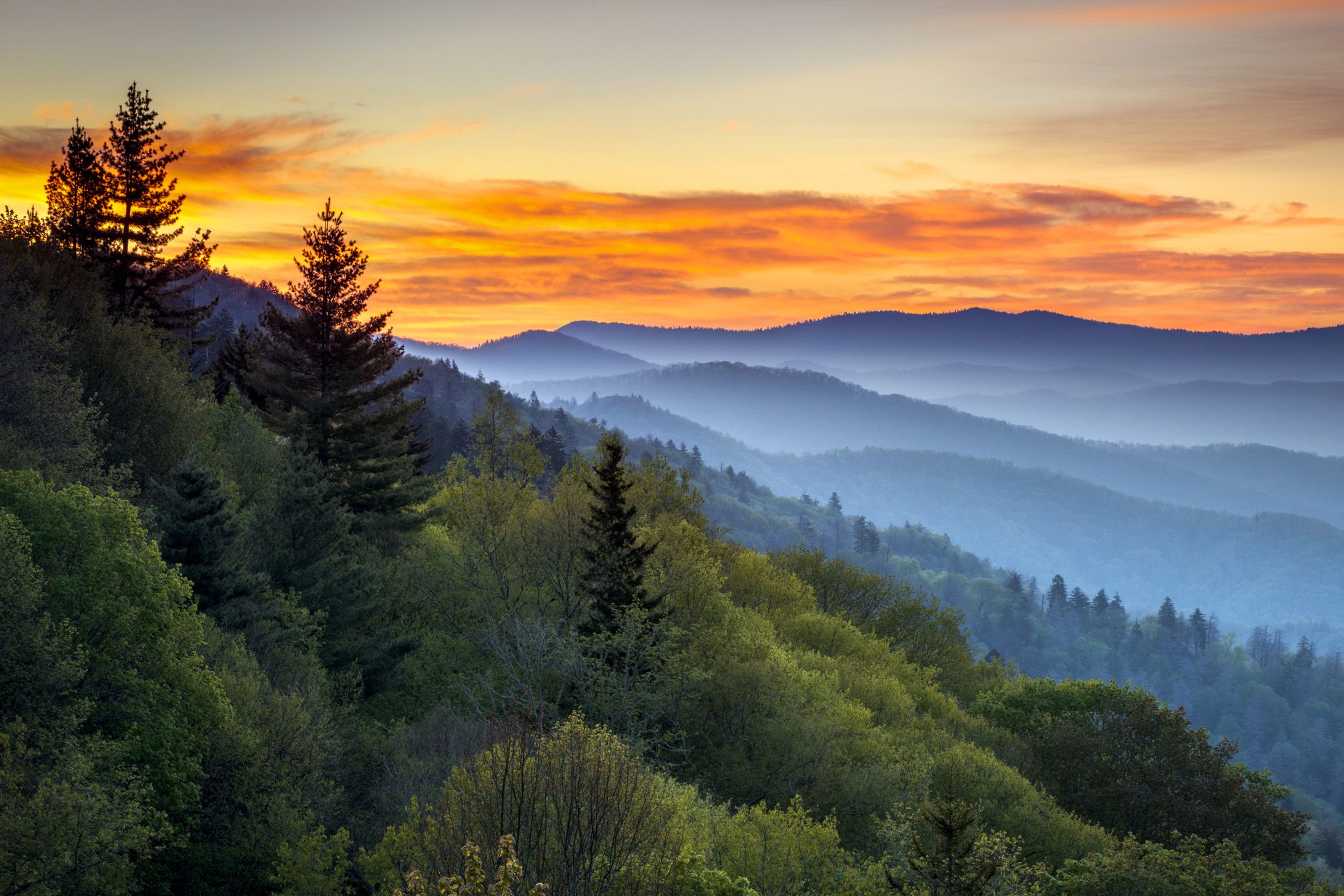 <p>Famous for its picturesque expanses of forest, as well as its diverse plant and animal life, <a href="https://www.nps.gov/grsm/index.htm">Great Smoky Mountains National Park</a> protects an ancient mountain range and is the most visited national park in the country.</p>  <p><strong>Related:</strong> <a href="https://blog.cheapism.com/least-visited-national-parks-in-america-3747/">Don't Miss 19 of America's Most Underrated National Parks</a></p>