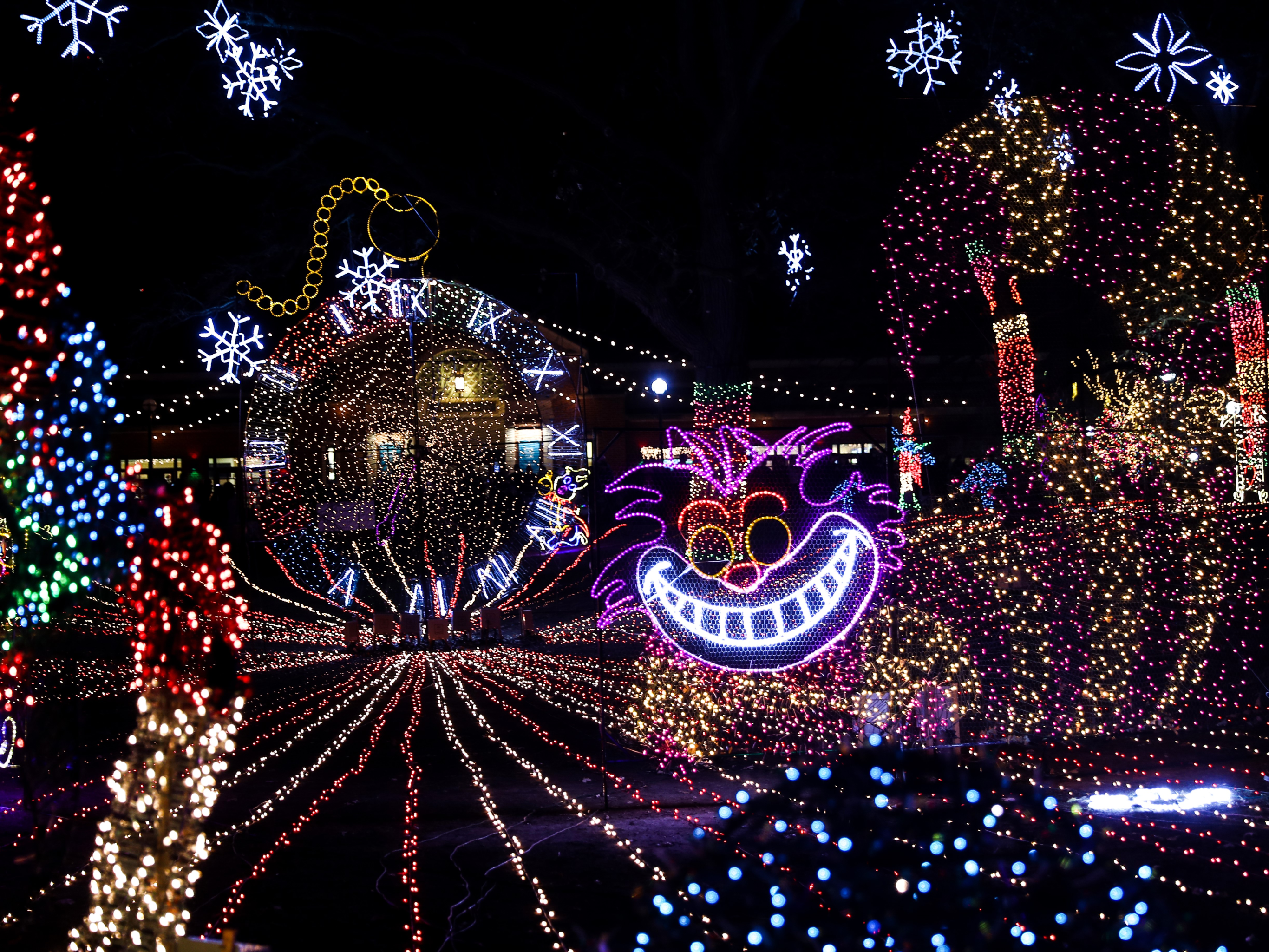 Διαφάνεια 6 από 26: This year marks the 25th year of the annual ZooLights display in Chicago, Illinois. The display is set to feature 2.5 million lights, which are free for the public to view. ZooLights also holds numerous events requiring tickets such as a carousel, Ferris wheel, a light maze, and more. Source: Lincoln Park Zoo 