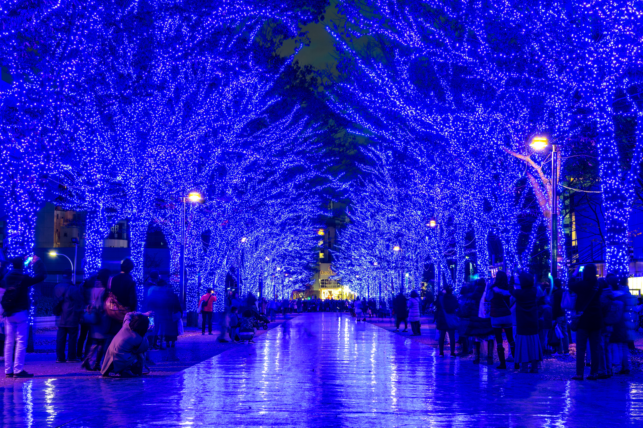 どこに行くか決めた 全国厳選 冬のイルミネーション特集 19