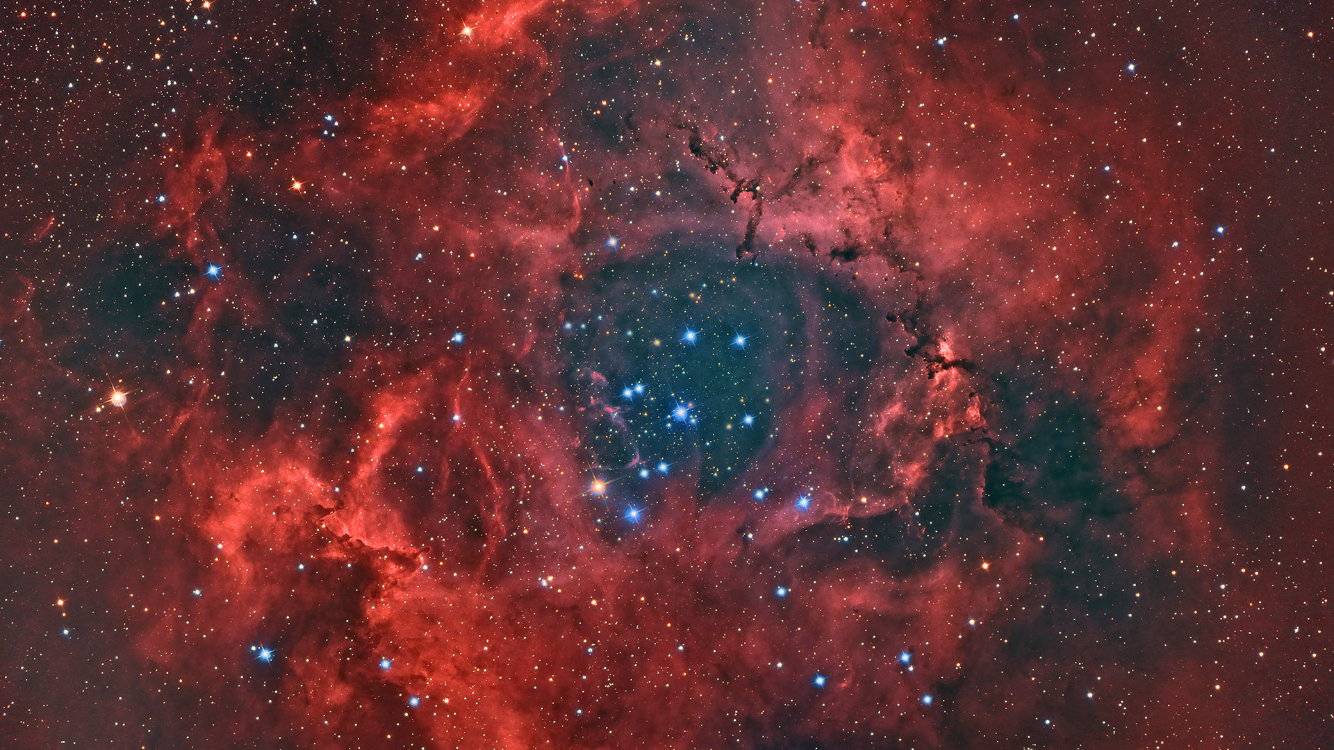 Διαφάνεια 6 από 10: Lock2019-B19_RosetteNebula_GettyImages-181826274