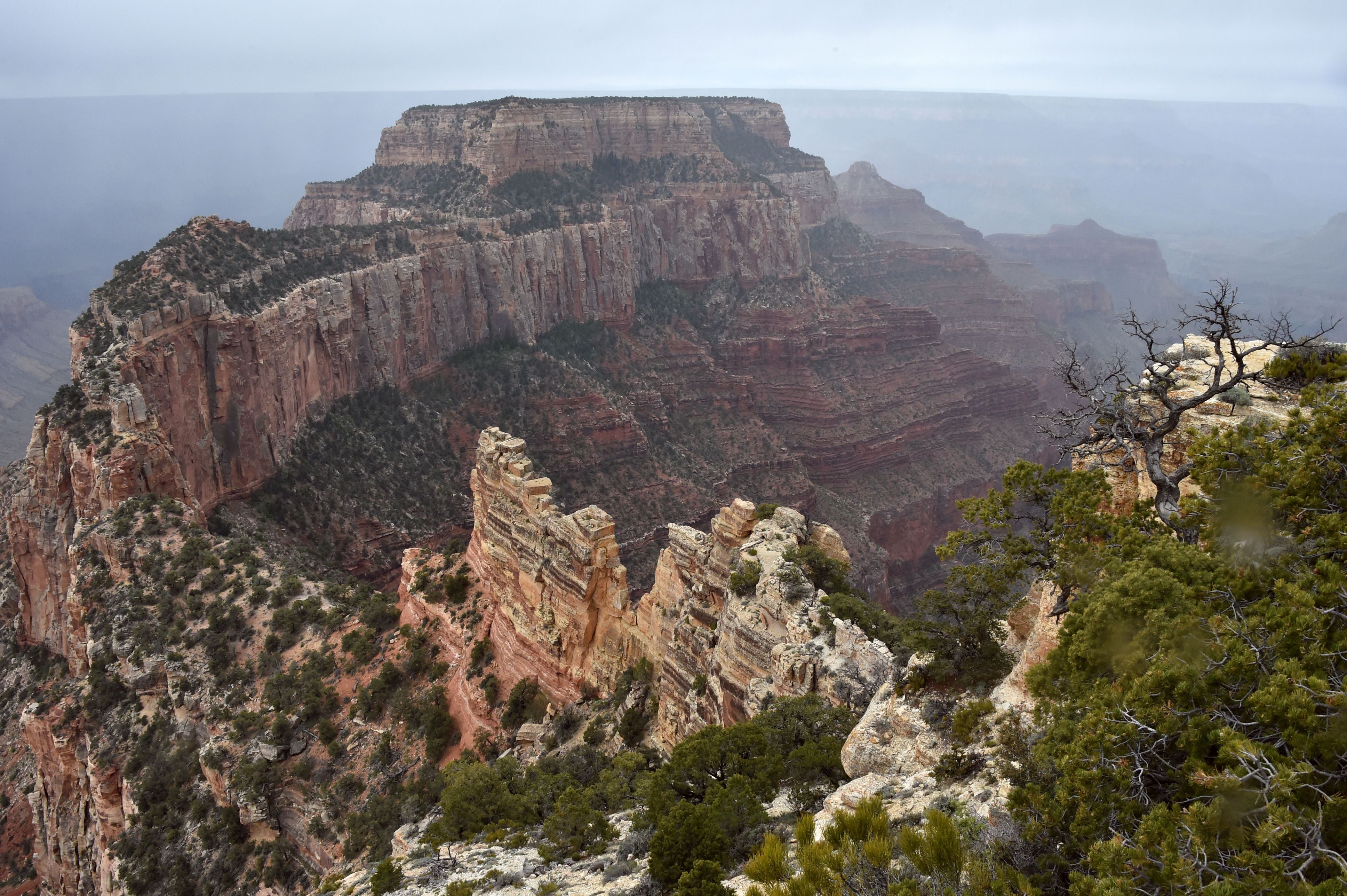 A view from the North Rim of the Grand Canyon on May, 18, 2015. AFP PHOTO/MLADEN ANTONOV        (Photo credit should read MLADEN ANTONOV/AFP/Getty Images)