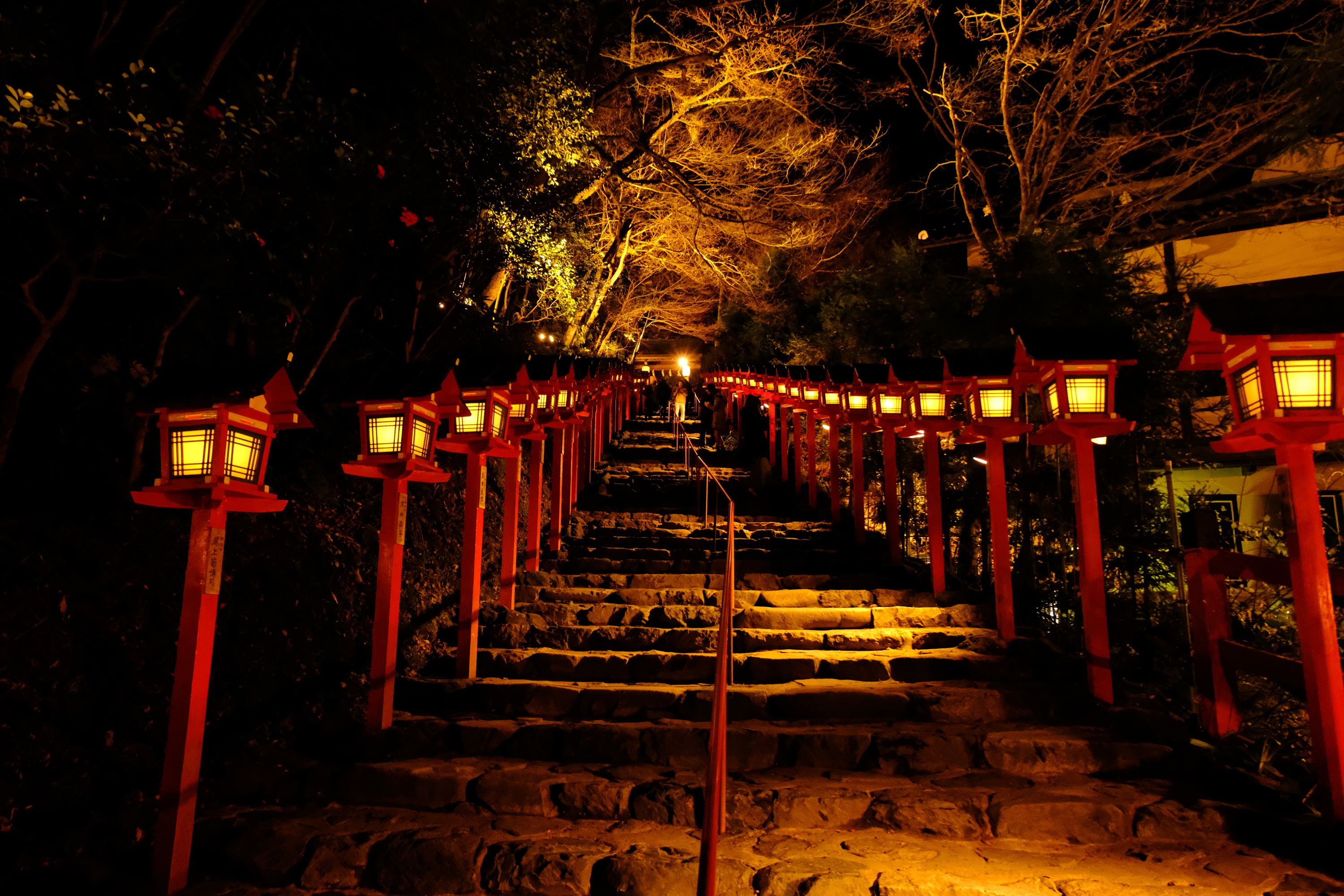 夜の古都も幻想的 秋の京都ライトアップ19