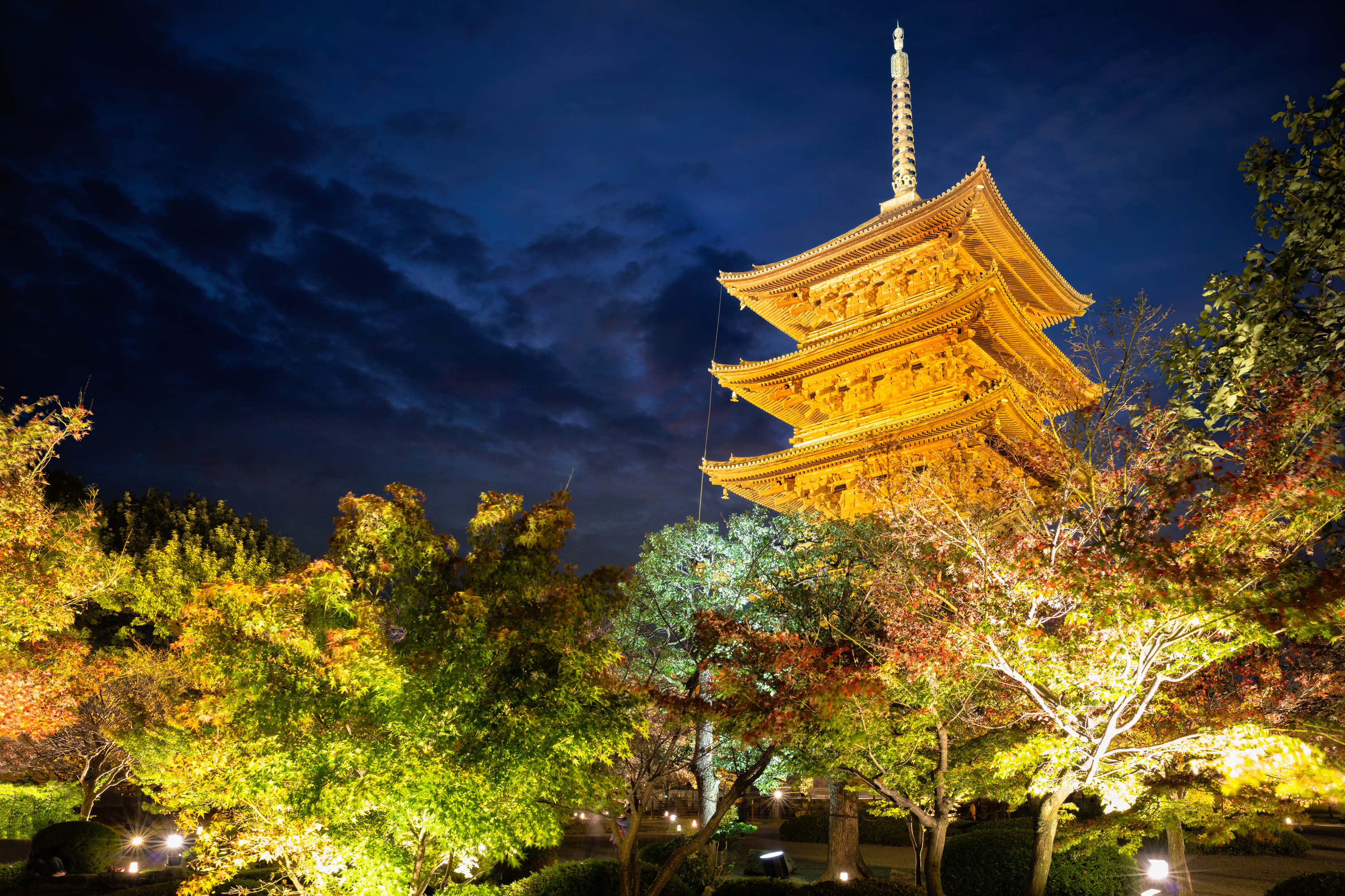 夜の古都も幻想的 秋の京都ライトアップ19