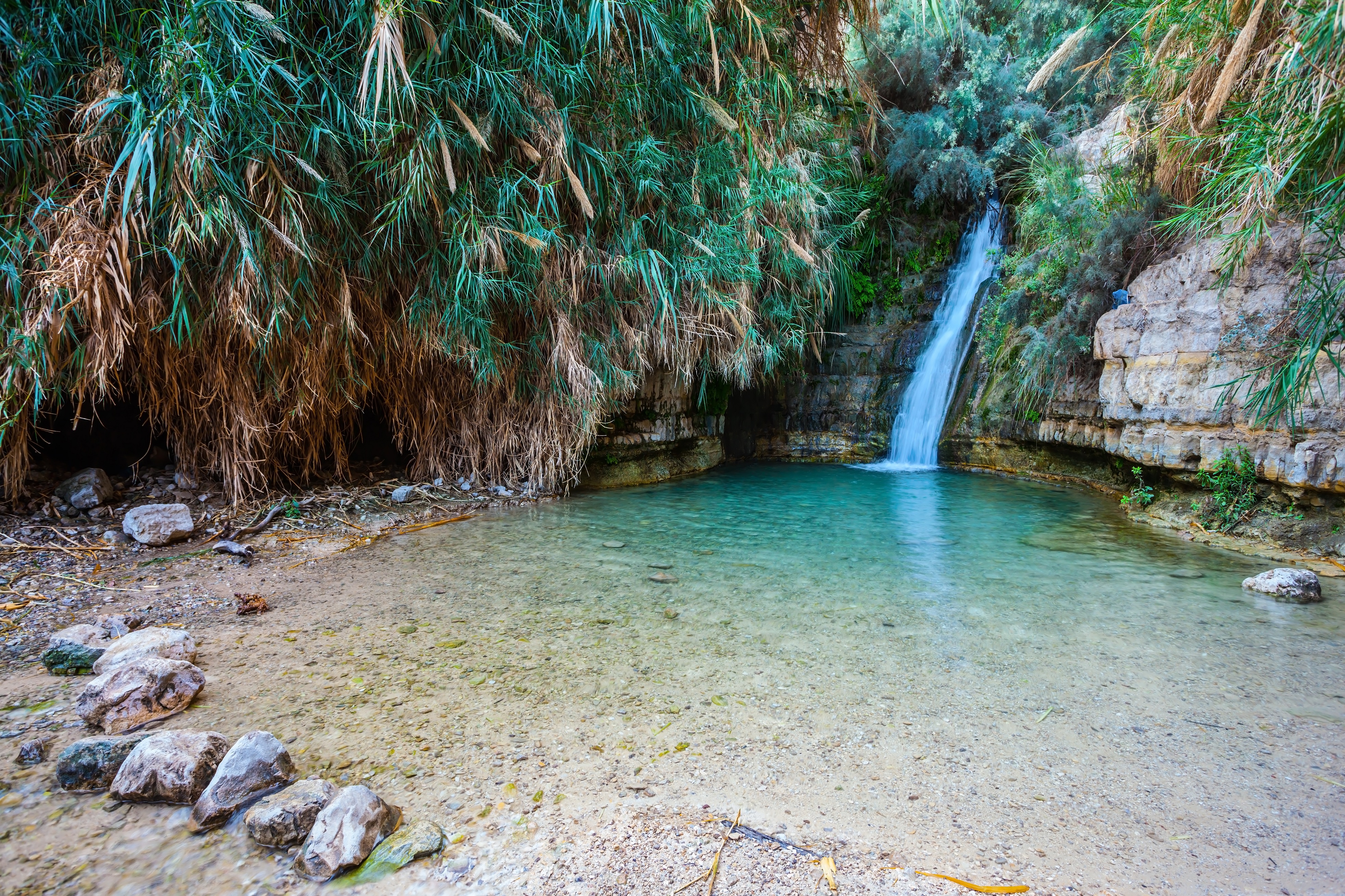 ����� 10 �� 16: Beautiful waterfall and small scenic lake with clear water. The national park Ein Gedi, Israel.