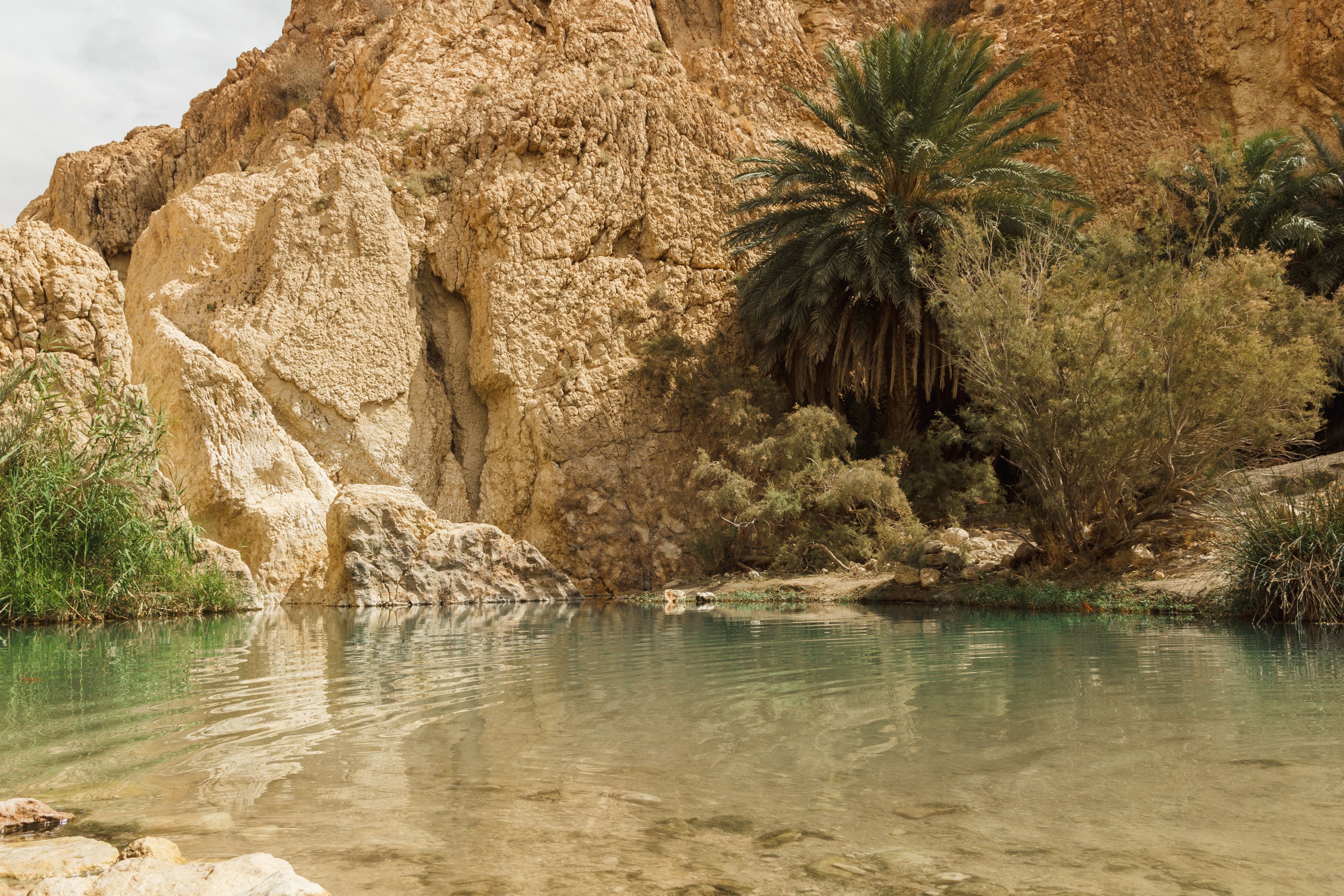 ����� 14 �� 16: Little pond in Chebika oasis at border of Sahara, Tunisia