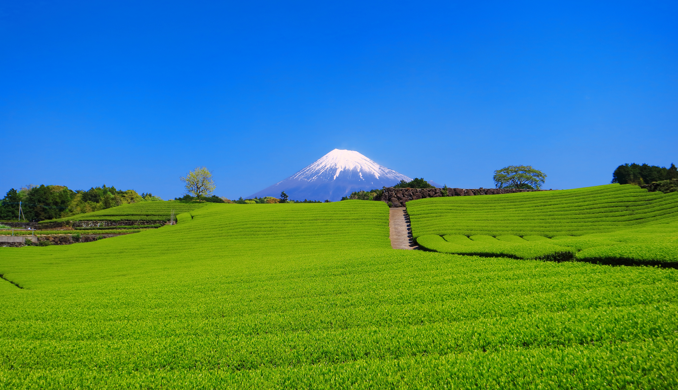 日本全国 新緑が美しい絶景 写真集