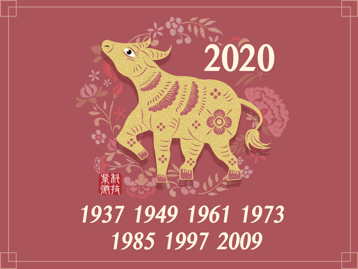 Fortune Unveiled For Chinese Zodiac Signs In 2020 The Year Of The