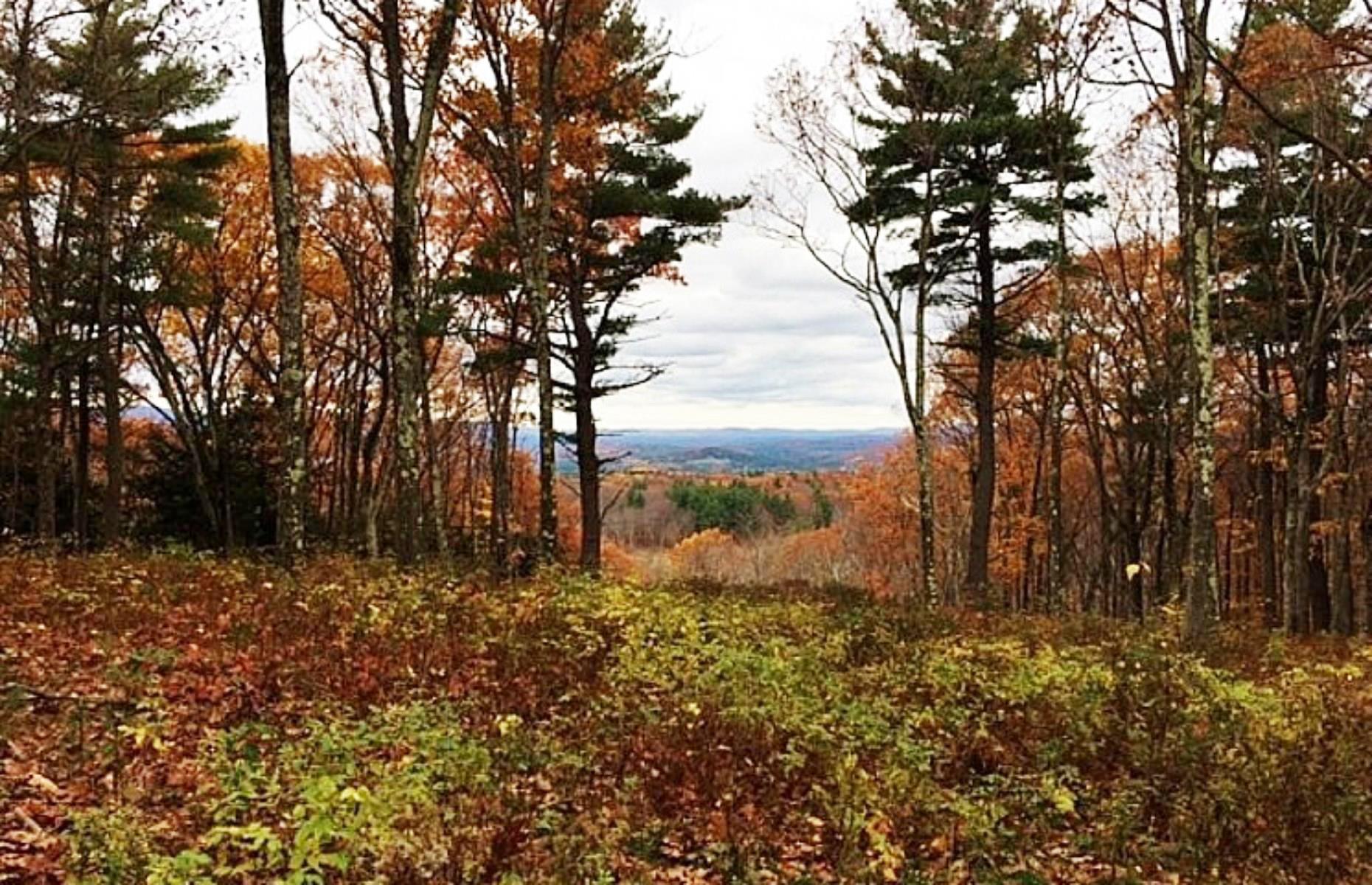 Abandoned farms for sale with plenty of promise