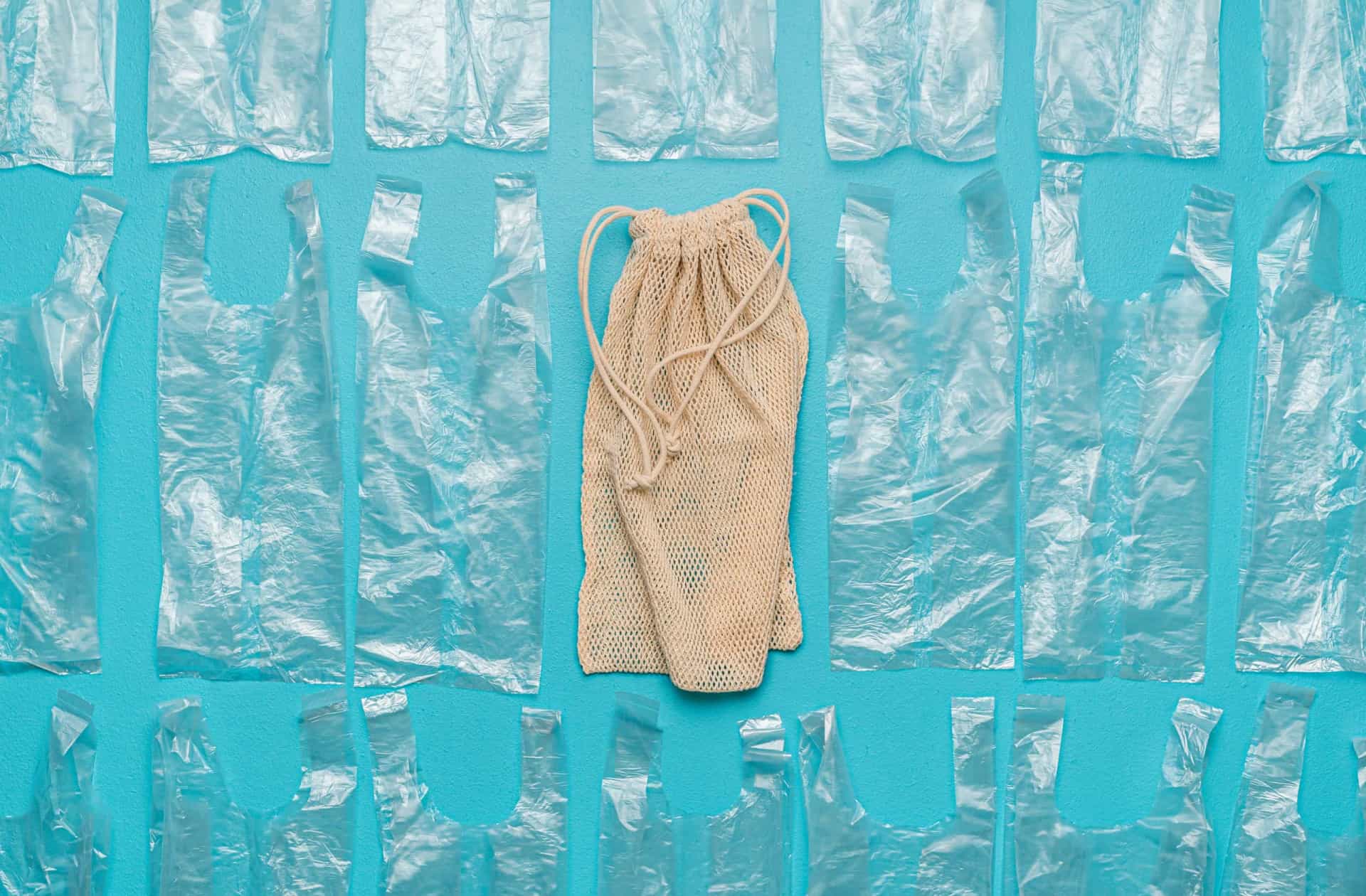 Why sharks are absolutely necessary to our existence