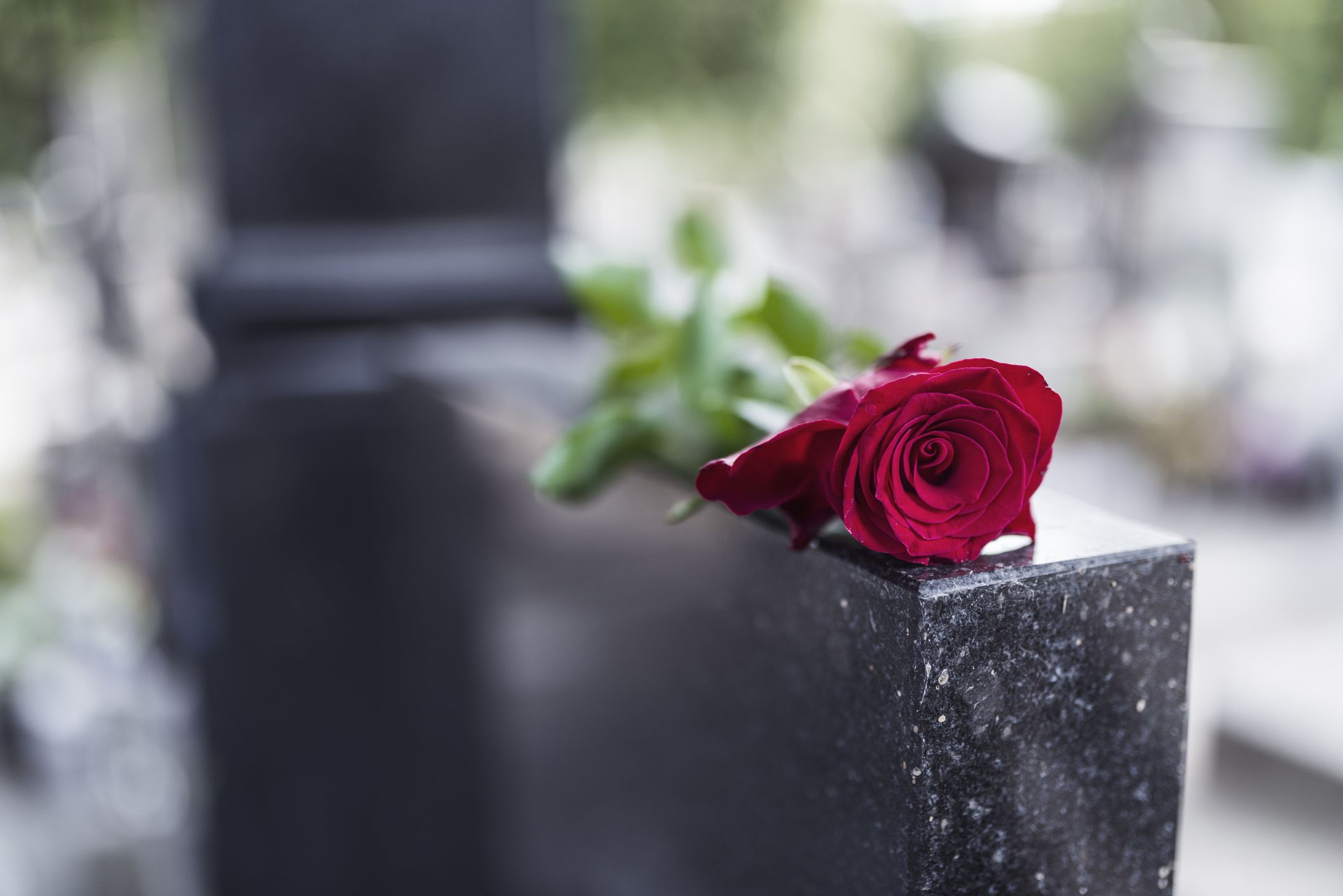 everyone-does-it-and-other-dark-facts-about-death