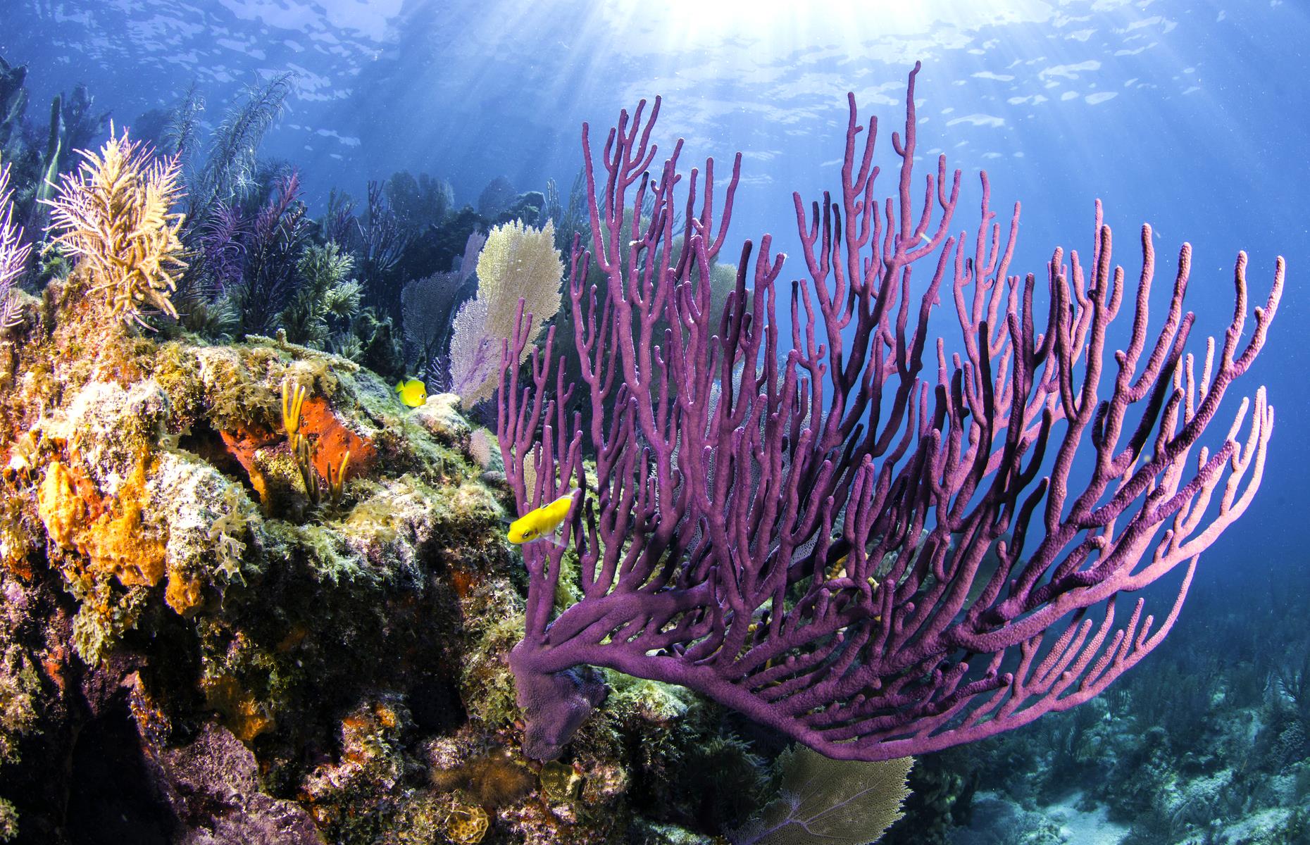 Ranked The 49 Best Things To Do In Florida