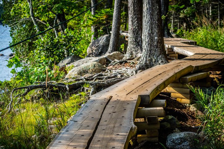 <p>Suppose you like nature hikes but aren't 100% acclimated to walking through the untamed forest. In that case, there's good news! Some of Acadia National Park's forests have paths made from wooden planks, making it a little easier on people for whom "nature" is not their first language.</p>