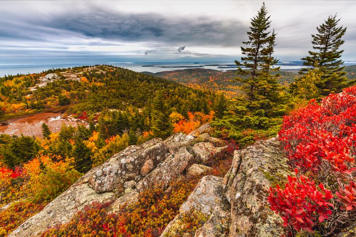 <p>One of the things that New England is famous for is the way the leaves turn in autumn. You don’t get much more New England than Maine, and this photo of Otter Point shows that foliage in all its glory.</p>