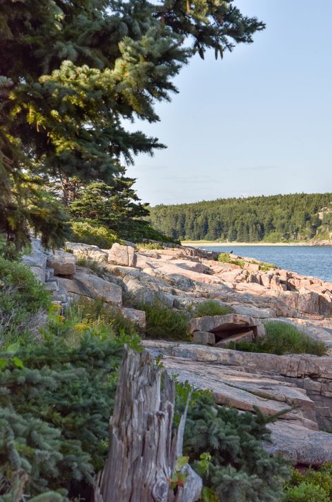 <p>While there’s coastal hiking and forest hiking at Acadia National Park, it’s not an either-or thing. Some parts of it, such as Great Head, have coastal hiking paths that offer generous views of the fall foliage at the same time.</p>