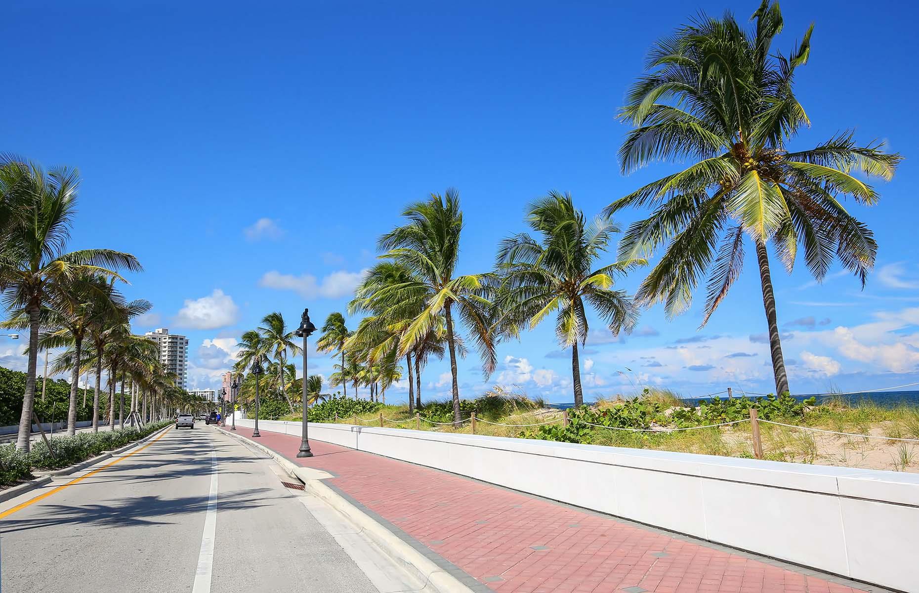 <p>A total stunner of a road trip, <a href="https://scenica1a.org/">this 72-mile (116km) route</a> winds its way along a narrow barrier island, hugged by the Atlantic on one side, the Intercoastal Waterway on the other. It's worth driving this road for the glistening views and inviting white sand beaches alone, but there are plenty of stops to make too, like the historic city of St Augustine and multiple nature reserves and wildlife refuges. Technically, the drive starts at Ponte Vedra Beach and ends at Flagler Beach, but many road trippers continue their way further south to Daytona Beach.</p>