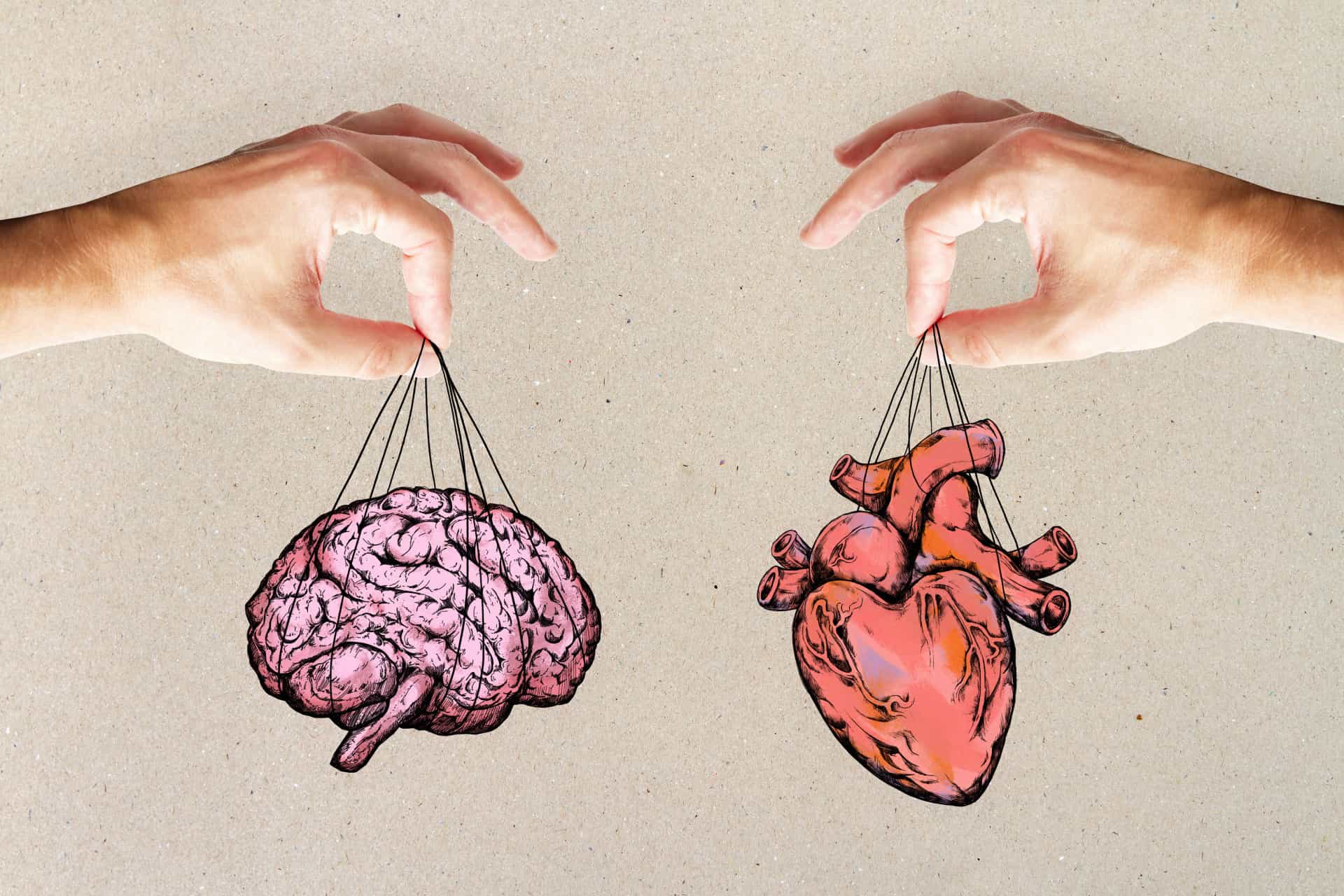 Heart and brain. Мозг и сердце. Мозг против сердца. Сердце и разум. Сердце и мозг взаимосвязь.