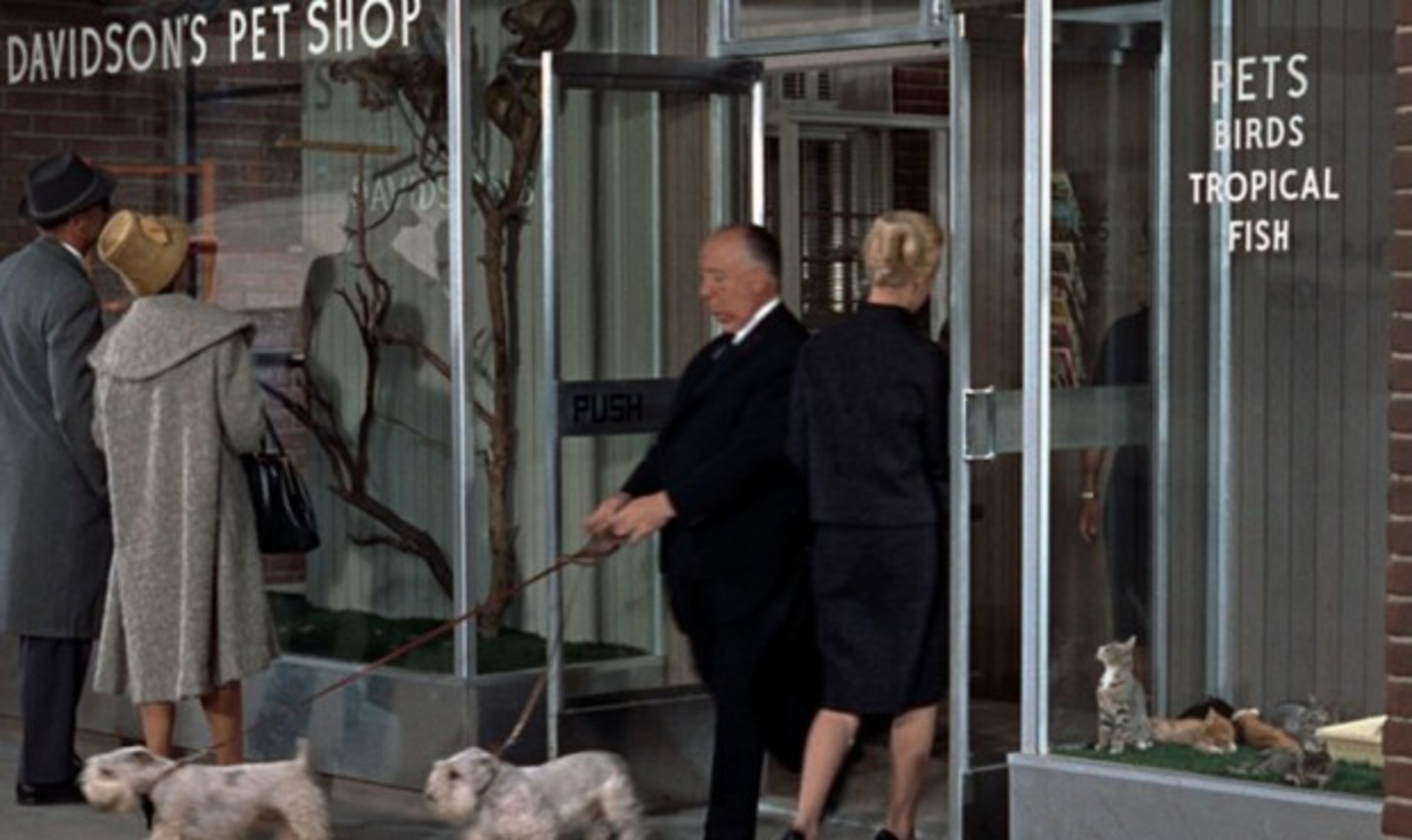 <p>We don’t like the way Hitchcock treated Tippi Hedren while shooting “The Birds,” but this is a fun cameo. In fact, Hitch brought in a couple of other members of his family for the fun. OK, so it’s his dogs, Geoffrey and Stanley. Still, the trio definitely stands out in this early appearance.</p>