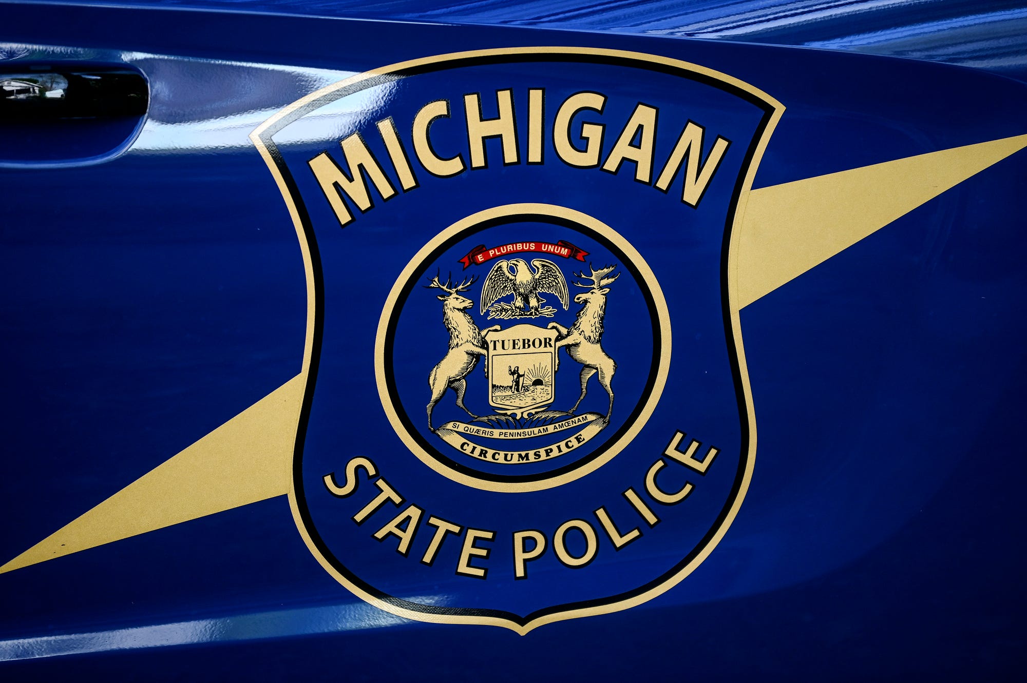 Laingsburg woman, 87, dies in Olive Township crash