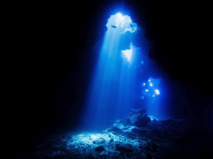 <p>When light shines through these underwater lava caves, it looks like sunlight is streaming through cathedral stained glass windows. For experienced scuba divers, Cathedrals is one of Lanai's most beloved diving spots. </p>