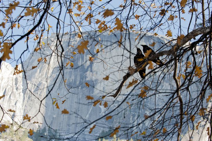 Slide 11 of 28: Autumn may not be the first season people think of when they think “vacation,” but those who do and choose Yosemite as their destination will see some incredible sights. This is the Half Dome reflected in the Merced River on a fall afternoon.
